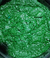產(chǎn)品種類(lèi)多型號全